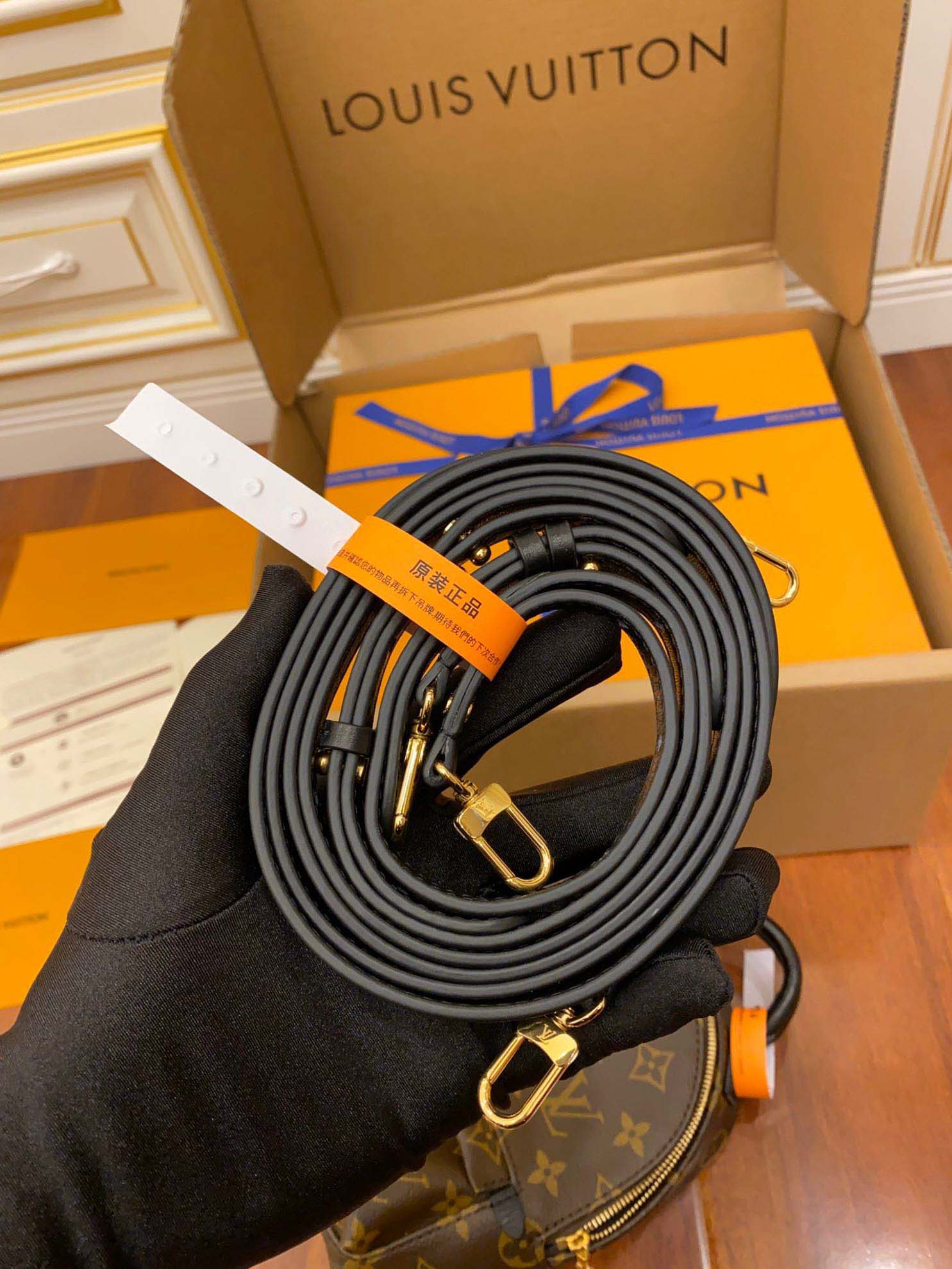 Balo Louis Vuitton Palm Springs Mini Brown