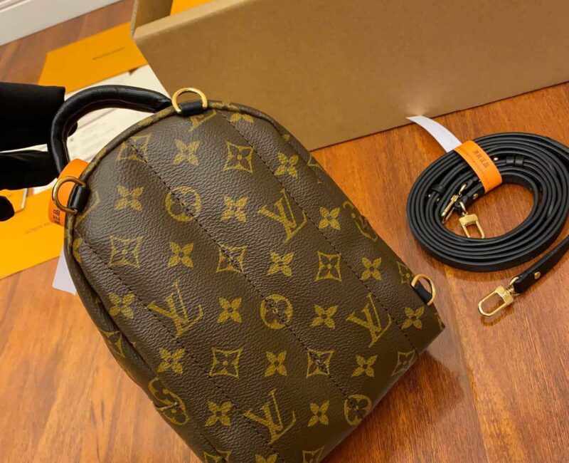 Balo Louis Vuitton Palm Springs Mini Brown