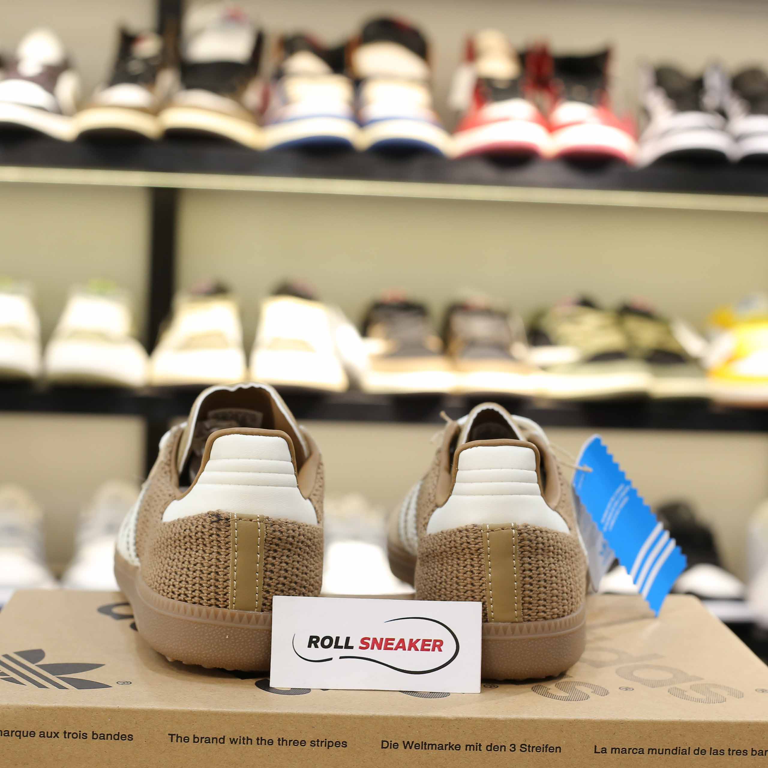 Giày Adidas Samba OG Cardboard Like Auth