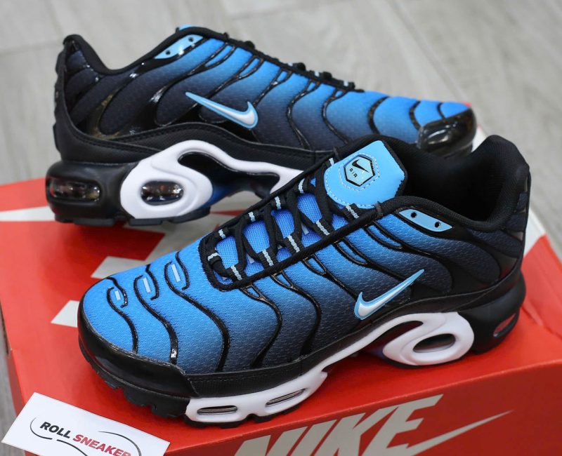 Giày Nike Air Max Plus Aquarius Blue Best Quality
