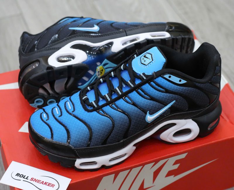 Giày Nike Air Max Plus Aquarius Blue Best Quality