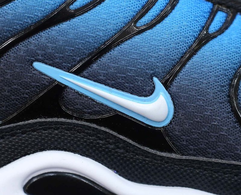 Giày Nike Air Max Plus Aquarius Blue Best Quality