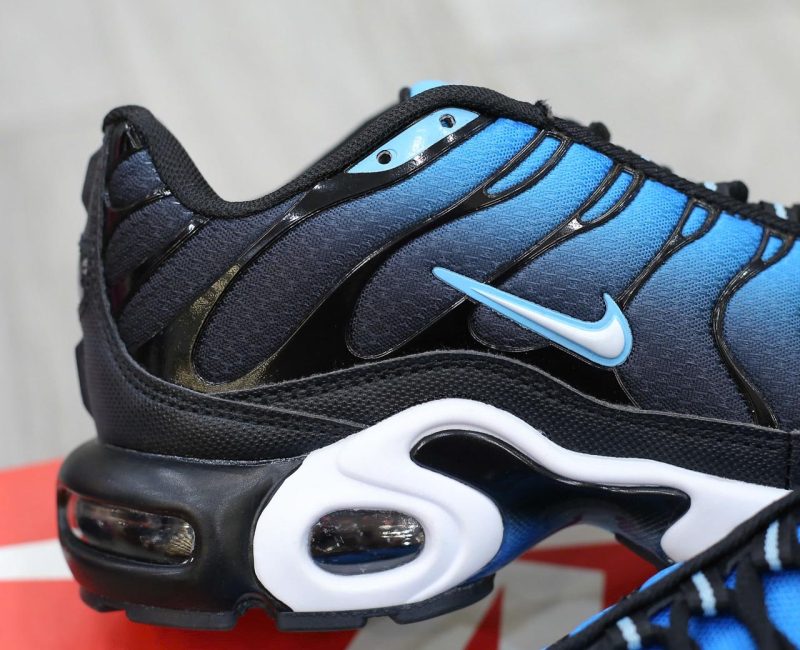 Giày Nike Air Max Plus Aquarius Blue Best Quality