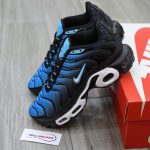 Giày Nike Air Max Plus Aquarius Blue Best Quality