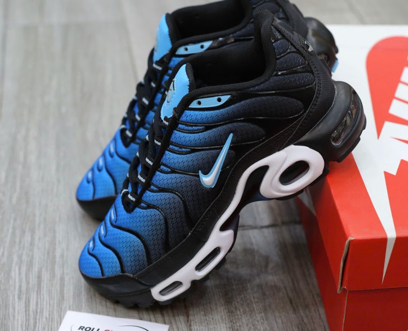 Giày Nike Air Max Plus Aquarius Blue Best Quality