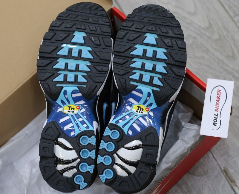 Giày Nike Air Max Plus Aquarius Blue Best Quality