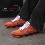 Onfeet Giày Nike SB Dunk Low Concepts Orange Lobster Best Quality
