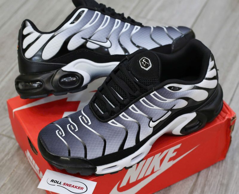 Giày Nike Air Max Plus ‘Black Metallic Silver’ Best Quality