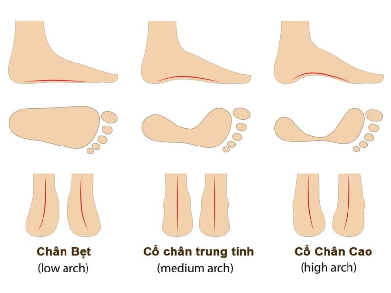 Chọn size giày Adidas theo form chân: chân thon, chân bè, mu cao hoặc ngón dài để mang giày vừa vặn và dễ chịu.