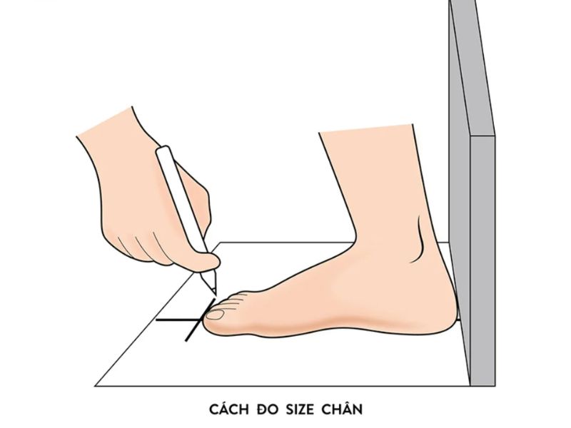 Hướng dẫn đo chiều dài bàn chân tại nhà để chọn size giày Adidas chuẩn và thoải mái.