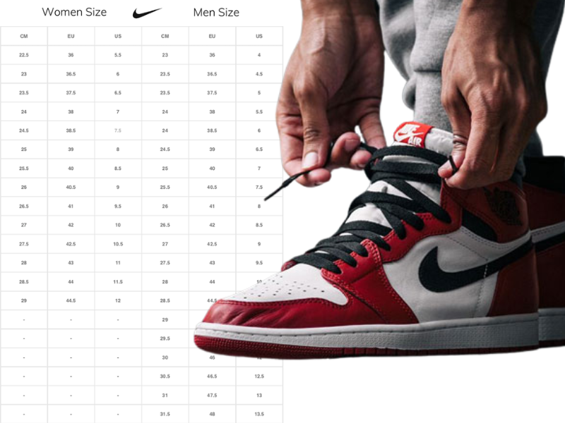 Tổng hợp chi tiết cách xem bảng giày Jordan 