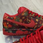 Giày Nike SB Dunk Low The Wizard Of Oz Poppy Field Best Quality